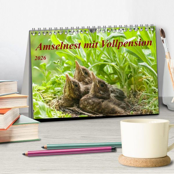 Produktbild: Amselnest mit Vollpension (Tischkalender 2026 DIN A5 quer), CALVENDO Monatskalender