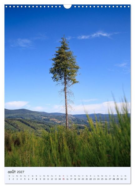 Produktbild: Arbres solitaires (Calendrier mural 2027 DIN A3 horizontal), CALVENDO calendrier mensuel