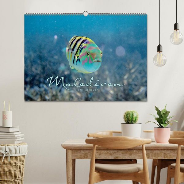 Produktbild: Unterwasserwelt der Malediven II (Wandkalender 2026 DIN A2 quer), CALVENDO Monatskalender