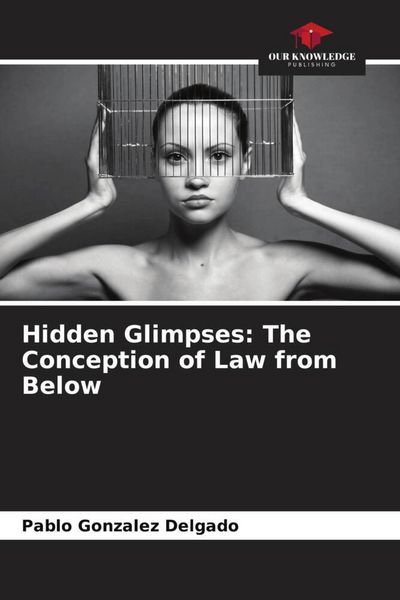 Produktbild: Hidden Glimpses: The Conception of Law from Below