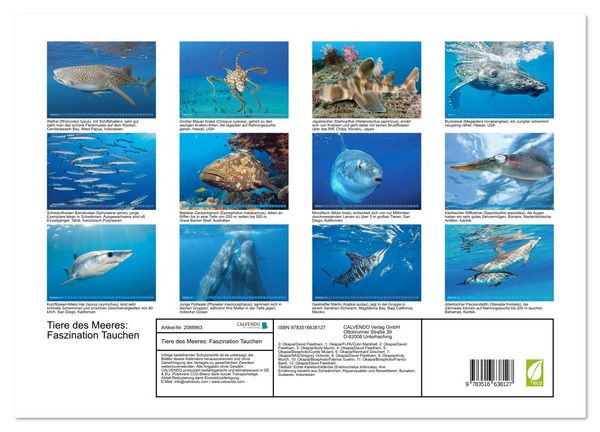 Produktbild: Tiere des Meeres: Faszination Tauchen (hochwertiger Premium Wandkalender 2026 DIN A2 quer), Kunstdruck in Hochglanz