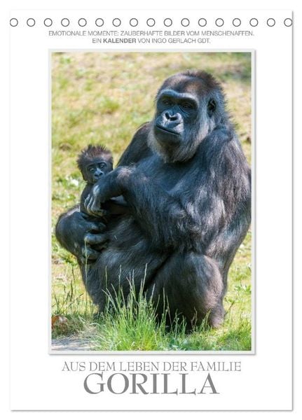 Emotionale Momente: Aus dem Leben der Familie Gorilla. (Tischkalender 2026 DIN A5 hoch), CALVENDO Monatskalender