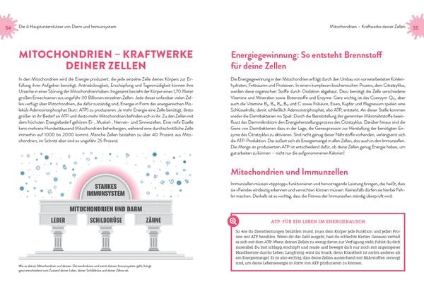 Produktbild: Immunpower