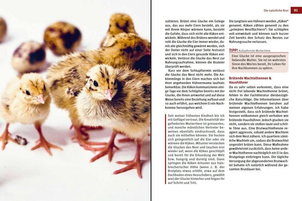 Produktbild: Wachteln