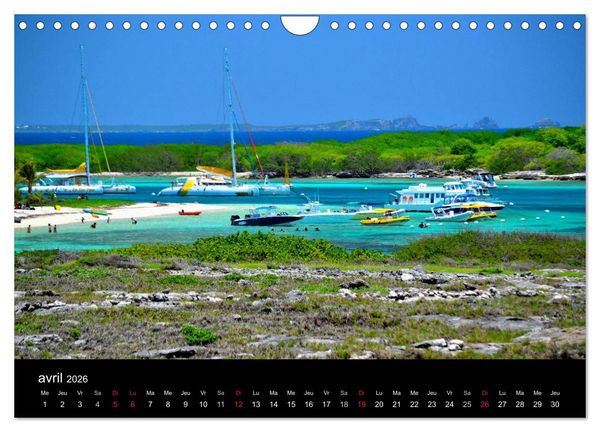 Produktbild: Paysages de Guadeloupe (Calendrier mural 2026 DIN A4 vertical), CALVENDO calendrier mensuel