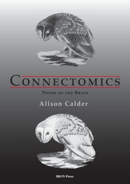 Produktbild: Calder, A: Connectomics
