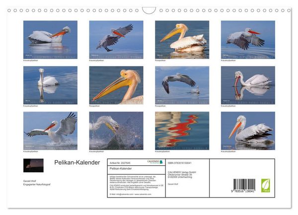 Produktbild: Pelikan-Kalender (Wandkalender 2026 DIN A3 quer), CALVENDO Monatskalender