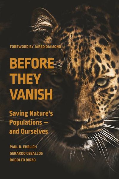 Produktbild: Before They Vanish