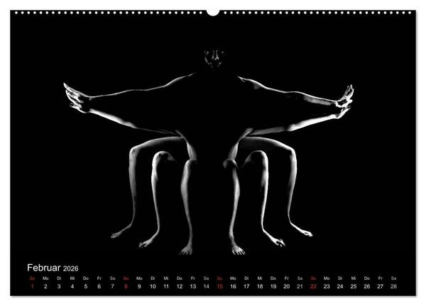 Produktbild: Kunstakt (Wandkalender 2026 DIN A2 quer), CALVENDO Monatskalender