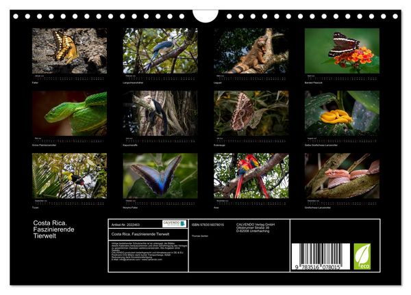 Produktbild: Costa Rica. Faszinierende Tierwelt (Wandkalender 2026 DIN A4 quer), CALVENDO Monatskalender