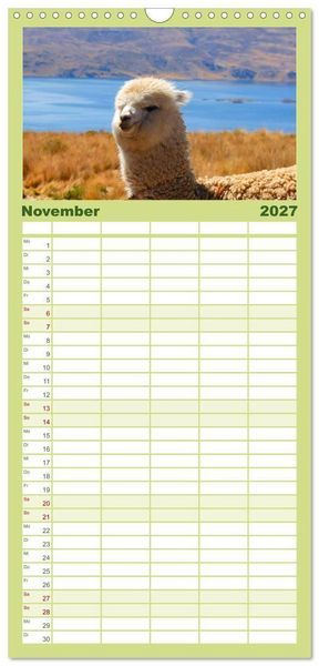 Produktbild: Familienplaner 2027 - Alpakas und Lamas mit 5 Spalten (Wandkalender, 21 x 45 cm) CALVENDO