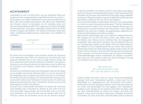 Produktbild: THE NEW YOU - Das Buch, das dein Leben ver&auml;ndert.