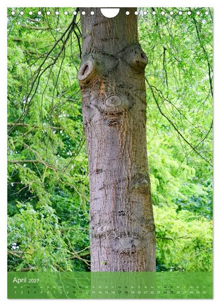 Produktbild: Geister im Wald 2027 (Wandkalender 2027 DIN A4 hoch), CALVENDO Monatskalender