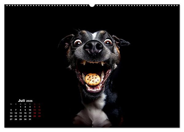 Produktbild: Leckerchen! (hochwertiger Premium Wandkalender 2026 DIN A2 quer), Kunstdruck in Hochglanz