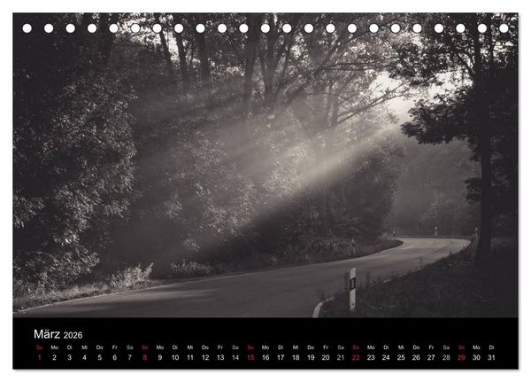 Produktbild: B&auml;ume trees 2026 (Tischkalender 2026 DIN A5 quer), CALVENDO Monatskalender
