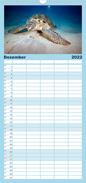 Produktbild: Tauchen, Fische und Meer - Familienplaner hoch (Wandkalender 2022 , 21 cm x 45 cm, hoch)