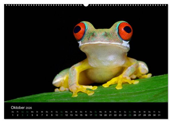 Produktbild: Costa Rica - Faszination Fr&ouml;sche (hochwertiger Premium Wandkalender 2026 DIN A2 quer), Kunstdruck in Hochglanz