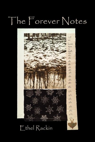 Produktbild: The Forever Notes