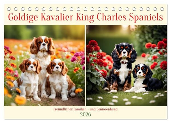Produktbild: Goldige Kavalier King Charles Spaniels (Tischkalender 2026 DIN A5 quer), CALVENDO Monatskalender