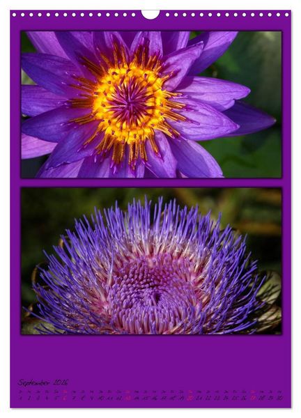 Produktbild: Farbtupferl der Natur (Wandkalender 2026 DIN A3 hoch), CALVENDO Monatskalender