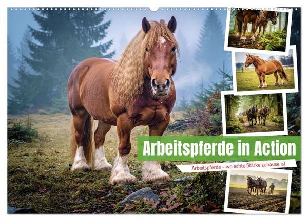 Produktbild: Arbeitspferde in Action (Wandkalender 2027 DIN A2 quer), CALVENDO Monatskalender