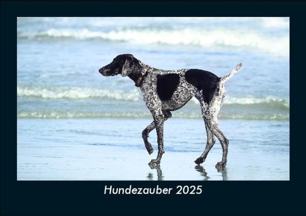 Produktbild: Hundezauber 2025 Fotokalender DIN A5