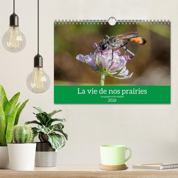 Produktbild: La vie de nos prairies - Les gu&ecirc;pes et les abeilles (Calendrier mural 2026 DIN A4 vertical), CALVENDO calendrier mensuel