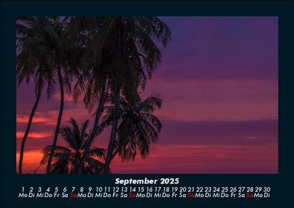 Produktbild: Palmentraum 2025 Fotokalender DIN A5