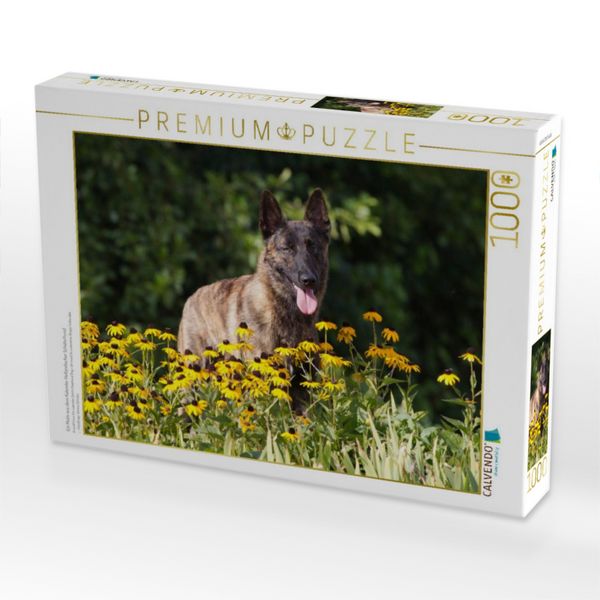 Produktbild: CALVENDO Puzzle Ein Motiv aus dem Kalender Holl&auml;ndischer Sch&auml;ferhund | 1000 Teile Lege-Gr&ouml;&szlig;e 64x48cm Foto-Puzzle f&uuml;r gl&uuml;ckliche Stunden