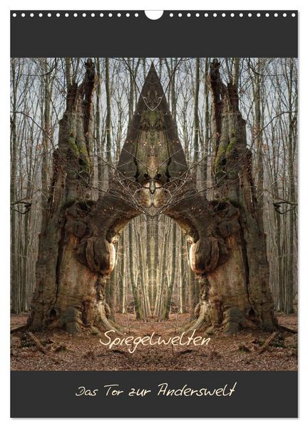 Spiegelwelten - Das Tor zur Anderswelt (Wandkalender 2026 DIN A3 hoch), CALVENDO Monatskalender