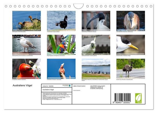 Produktbild: Australiens V&ouml;gel (Wandkalender 2026 DIN A4 quer), CALVENDO Monatskalender