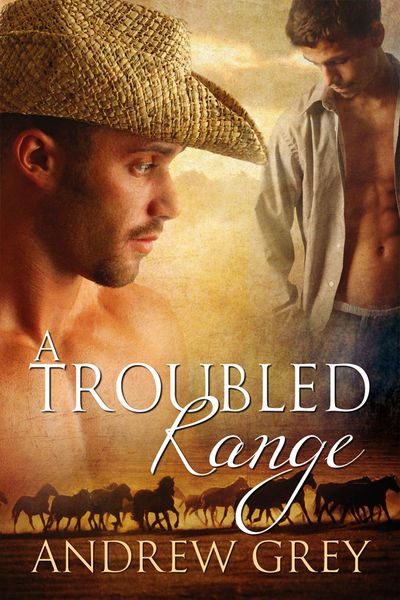 Produktbild: Troubled Range
