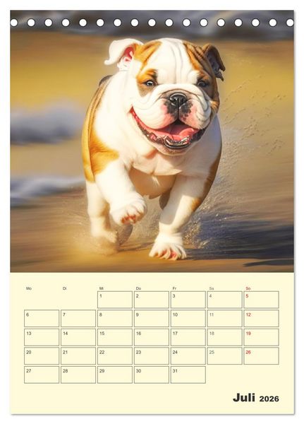 Produktbild: English Bulldogs. Fr&ouml;hliche Dickk&ouml;pfe mit Charakter (Tischkalender 2026 DIN A5 hoch), CALVENDO Monatskalender