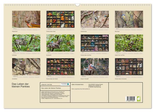 Produktbild: Das Leben der kleinen Pankies (Wandkalender 2027 DIN A2 quer), CALVENDO Monatskalender