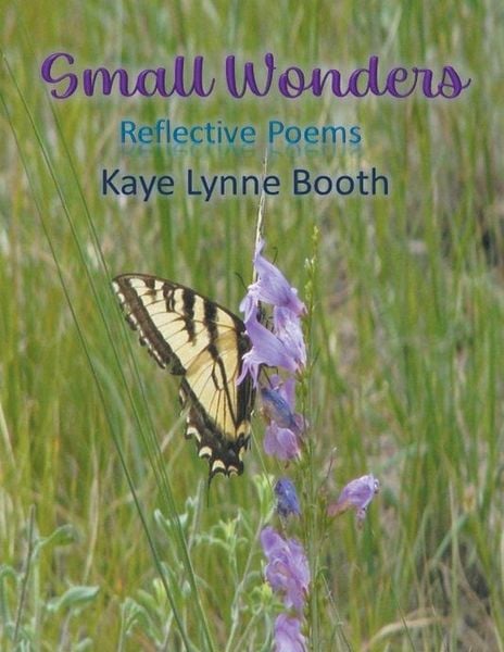 Produktbild: Small Wonders