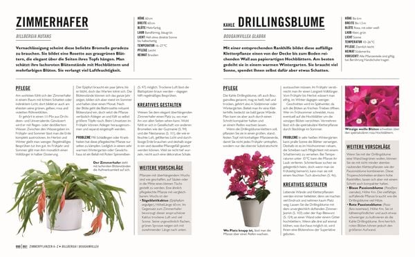 Produktbild: Gr&uuml;nes Gartenwissen. Die sch&ouml;nsten Zimmerpflanzen