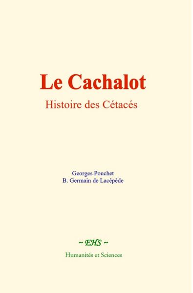 Produktbild: Le Cachalot