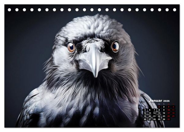 Produktbild: Only Black (Tischkalender 2026 DIN A5 quer), CALVENDO Monatskalender