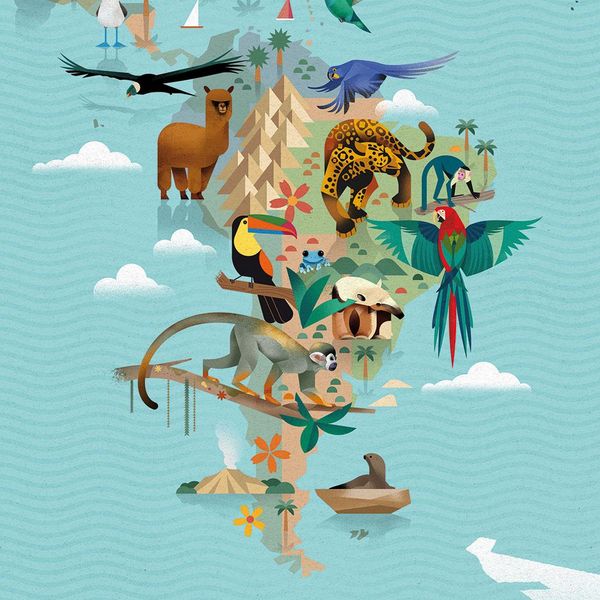 Produktbild: Die Welt der Tiere