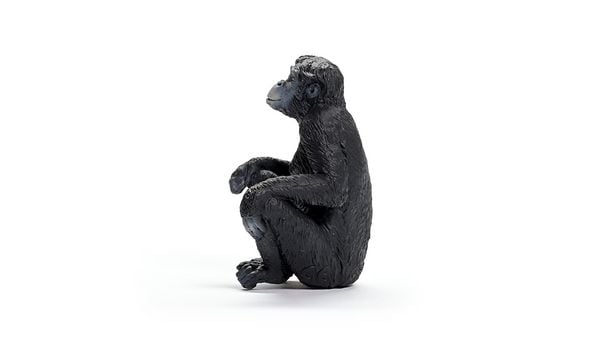 Produktbild: schleich&reg; 14875 - Wild Life, Bonobo Weibchen, Affe, Tierfigur, H&ouml;he: 6 cm