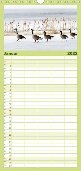 Produktbild: KANADA-GANS - Der 'hupende' Vogel - Familienplaner hoch (Wandkalender 2022 , 21 cm x 45 cm, hoch)