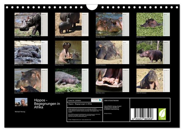 Produktbild: Hippos - Begegnungen in Afrika (Wandkalender 2026 DIN A4 quer), CALVENDO Monatskalender