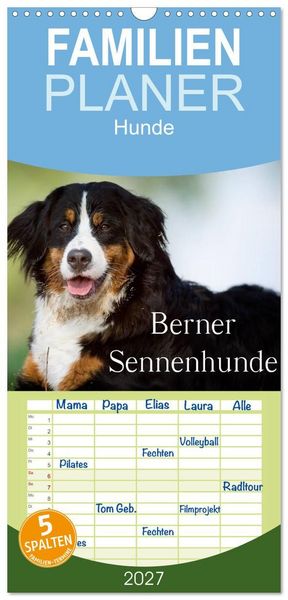 Produktbild: Familienplaner 2027 - Berner Sennenhunde mit 5 Spalten (Wandkalender, 21 x 45 cm) CALVENDO