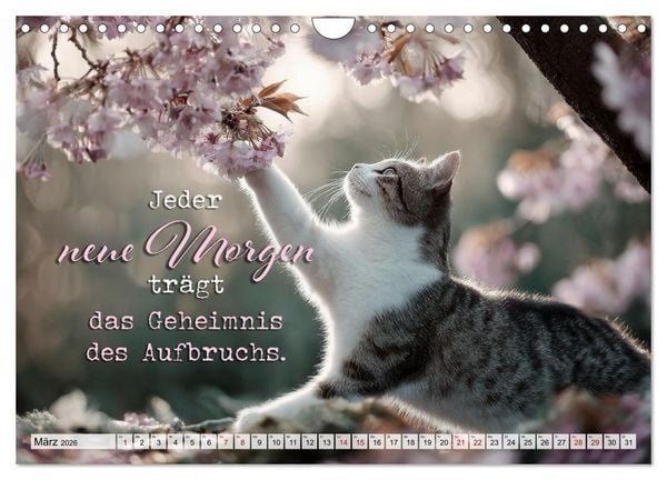 Produktbild: Katzenpoesie - Herzber&uuml;hrende Verse (Wandkalender 2026 DIN A4 quer), CALVENDO Monatskalender