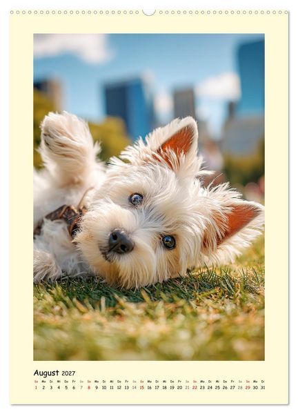 Produktbild: S&uuml;&szlig;er Wuschelkopf. West Highland White Terrier Momente (Wandkalender 2027 DIN A2 hoch), CALVENDO Monatskalender
