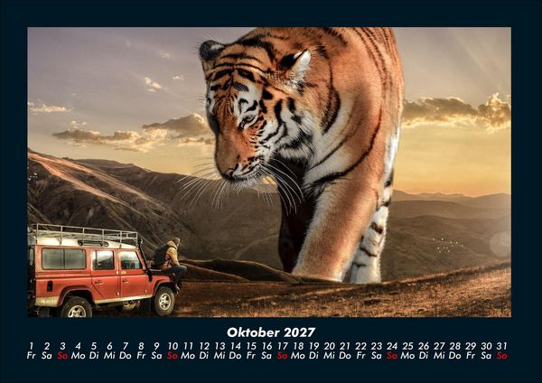 Produktbild: Tiger 2027 Fotokalender DIN A4