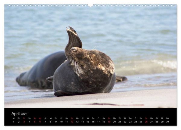 Produktbild: Helgoland - idyllische Nordseeinsel (hochwertiger Premium Wandkalender 2026 DIN A2 quer), Kunstdruck in Hochglanz