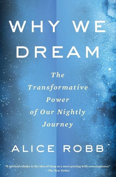Produktbild: Why We Dream