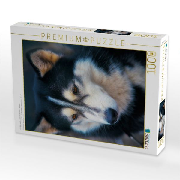 Produktbild: CALVENDO Puzzle Ein Motiv aus dem Kalender Huskies - Artwork | 1000 Teile Lege-Gr&ouml;&szlig;e 64x48cm Foto-Puzzle f&uuml;r gl&uuml;ckliche Stunden
