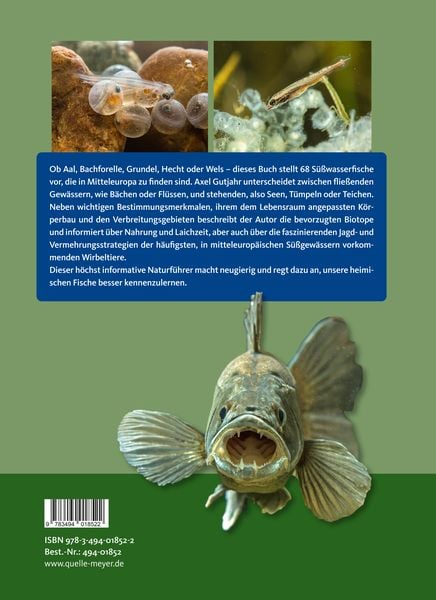Produktbild: Die S&uuml;&szlig;wasserfische Mitteleuropas